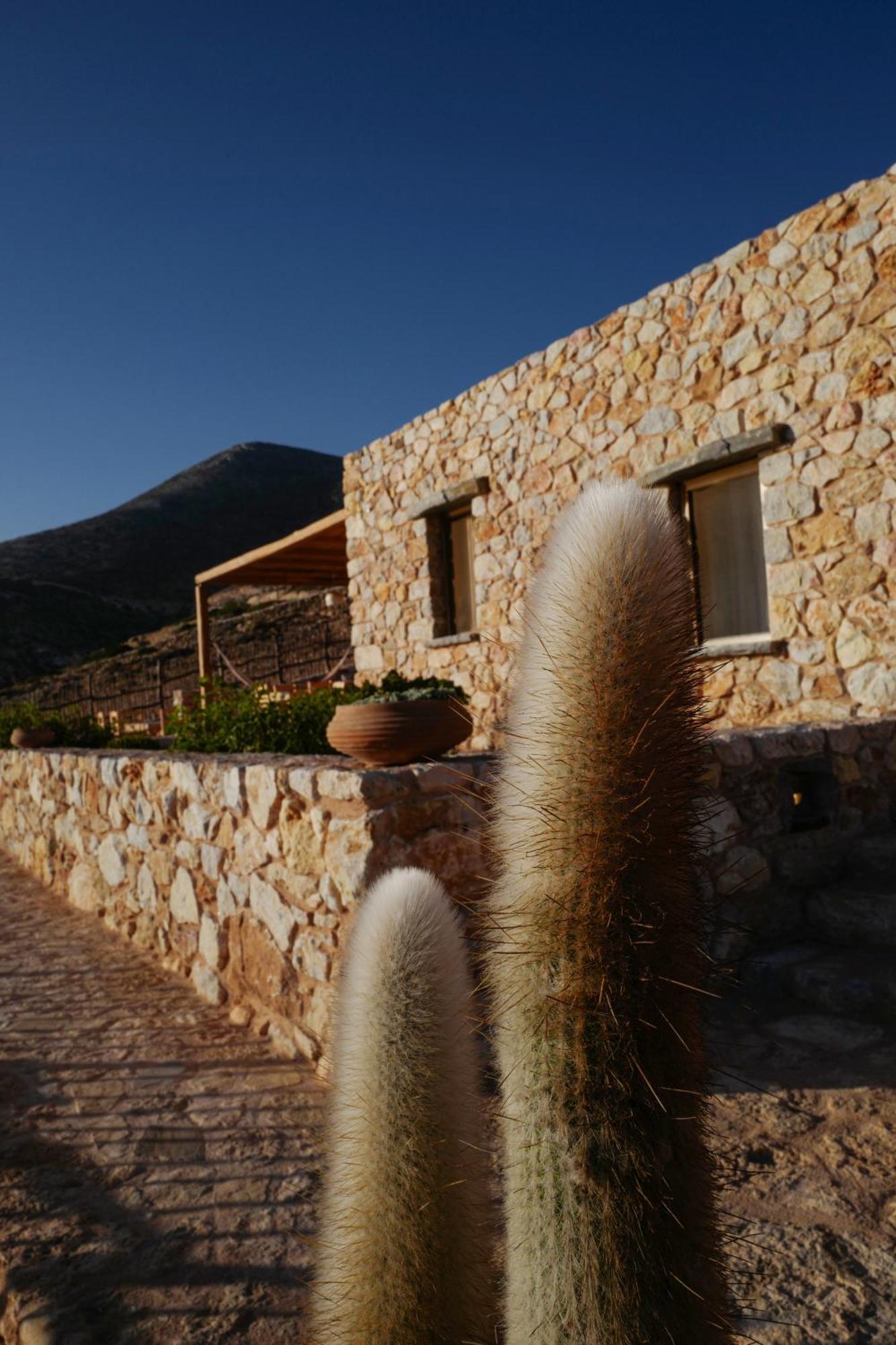 Phisis Nature Retreat Donoussa Esterno foto